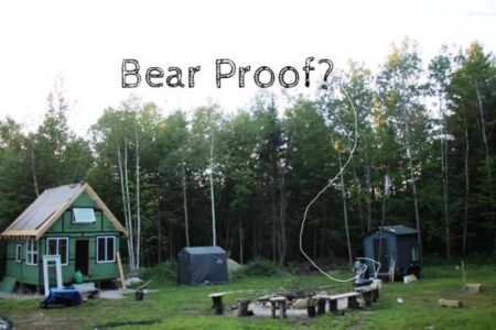 Preparedness for Black Bear Encounters on Remote Properties Image